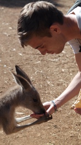 Dave meets a 'Roo